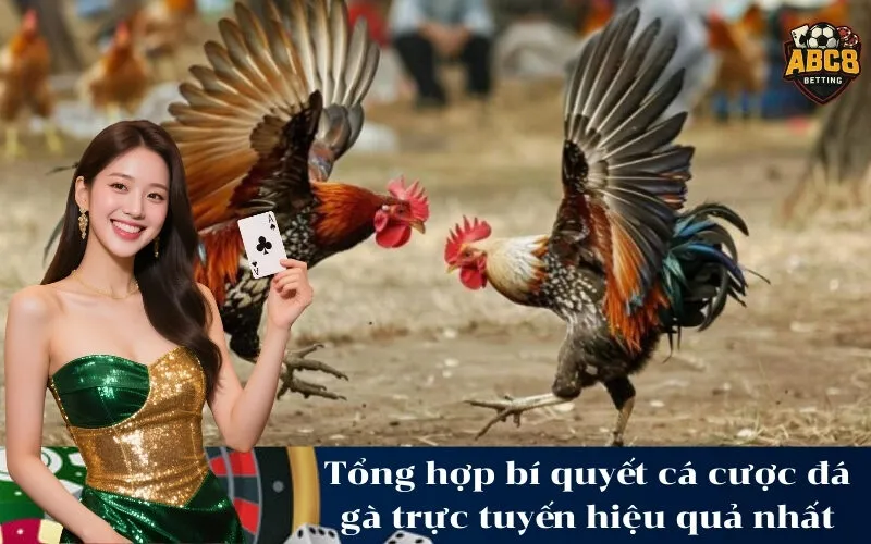 Tổng hợp bí quyết cá cược đá gà trực tuyến hiệu quả nhất