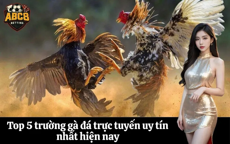 Top 5 trường gà đá trực tuyến uy tín nhất hiện nay